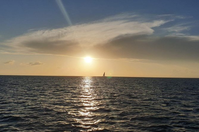 Private Luxury Catamaran - Saona or Catalina island - Las Palmillas and nature-focused stops