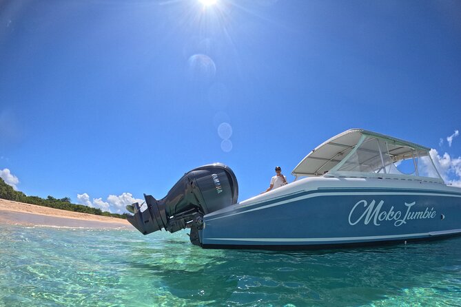 Private Power Catamaran Adventure in Saint Kitts and Nevis - A private boat day between St. Kitts and Nevis