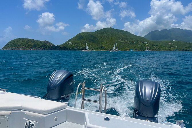 Private Power Catamaran Adventure in Saint Kitts and Nevis - Who will enjoy this catamaran most
