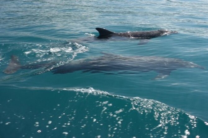 Private Sunset Catamaran in Playa Flamingo - Why this private sailing trip works for groups