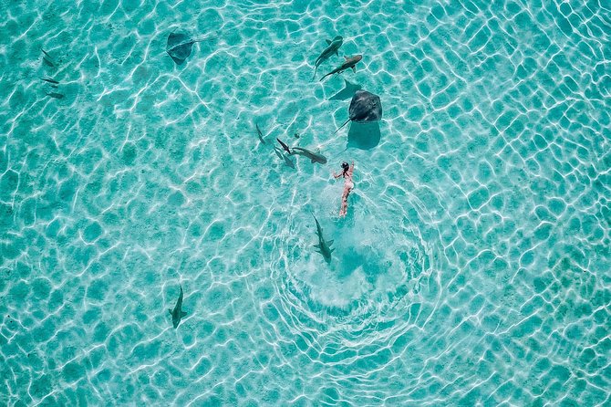 PRIVATE Sunset Tour: Moorea Snorkeling on a Catamaran named Taboo - Practical booking advice for Moorea