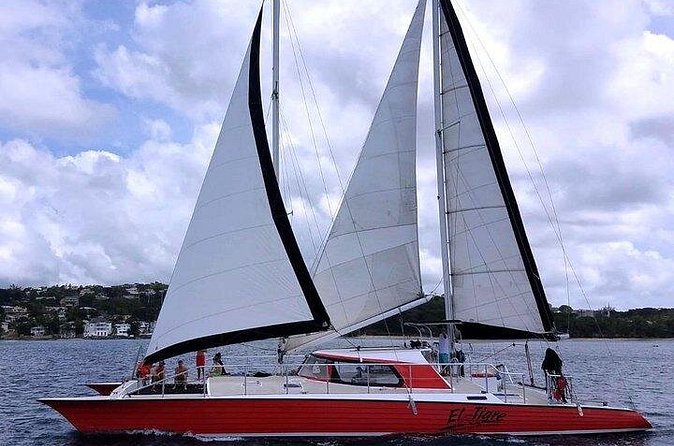 Private Tour: Barbados Catamaran Snorkeling Cruise - Who should book this private cruise