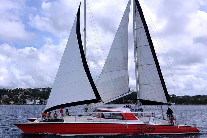 Private Tour: Barbados Catamaran Snorkeling Cruise - My call: book it for a full private day on the water