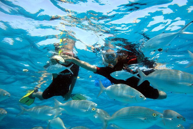 Private trips to Lobos Island in Catamaran Lagoon 421 - Setting sail from Corralejo on a Lagoon 421