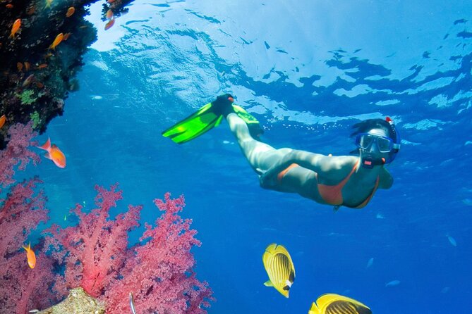 Puerto Morelos Catamaran Reef Sail and Snorkel - Why this Puerto Morelos catamaran trip works well