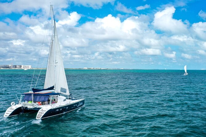 Puerto Morelos Catamaran Reef Sail and Snorkel - What you might see beneath the surface