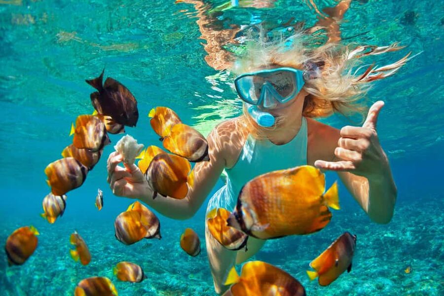 Puerto Plata: Catamaran Snorkeling Trip w/ Buffet & Open Bar - Key details before you book