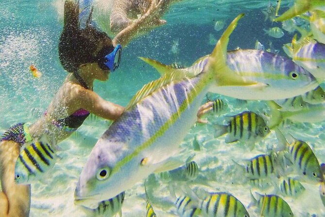 Puerto Plata : Party Boat Catamaran to Sosúa Bay - Who will enjoy this Sosúa Bay cruise