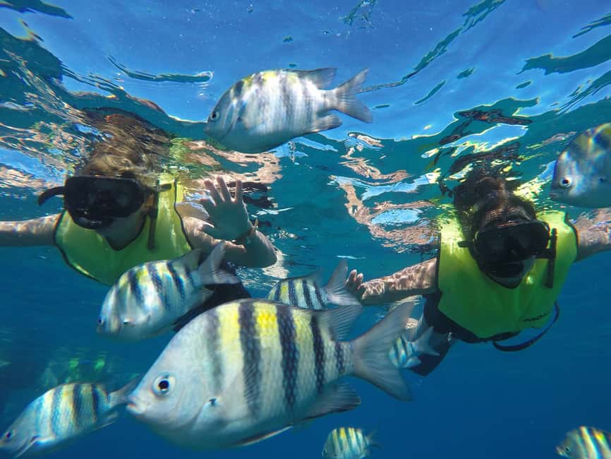 Puerto Plata: Sosúa Catamaran Day Trip with Lunch and Drinks - Who will enjoy the Tip Top Catamaran most?
