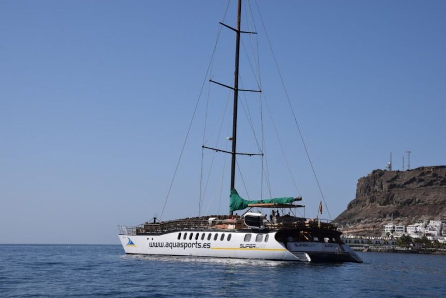 Puerto Rico : 2 hour Dolphin Catamaran Excursion - Key points to know before you book