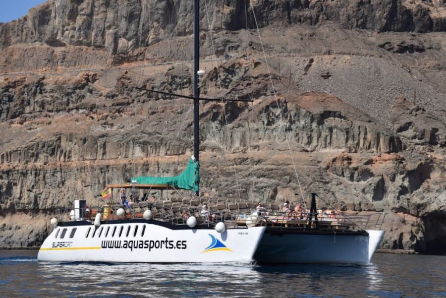 Puerto Rico : 2 hour Dolphin Catamaran Excursion - Should you book the Puerto Rico dolphin catamaran?