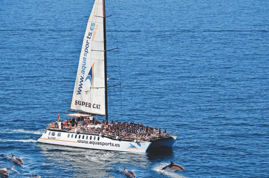 Puerto Rico : 2 hour Dolphin Catamaran Excursion - Setting off from Puerto Rico’s Puerto Base