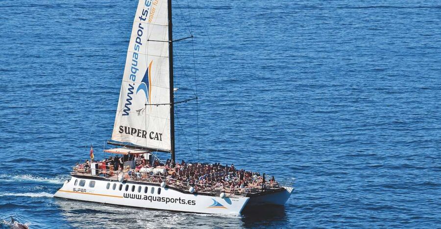 Puerto Rico : 2 hour Dolphin Catamaran Excursion - Watching for dolphins, whales, turtles, and flying fish
