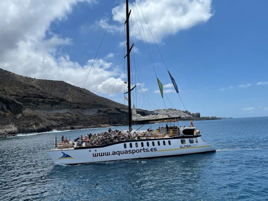 Puerto Rico : 2 hour Dolphin Catamaran Excursion - What the strongest feedback tells me