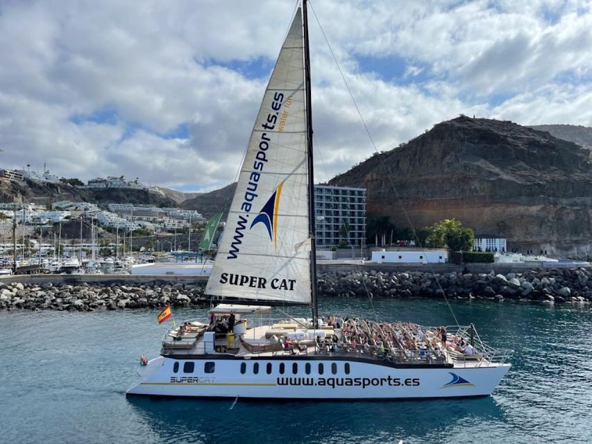 Puerto Rico : 2 hour Dolphin Catamaran Excursion - Is $41 a fair price?