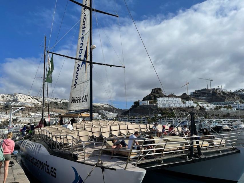 Puerto Rico : 2 hour Dolphin Catamaran Excursion - Who will enjoy this sea outing most?