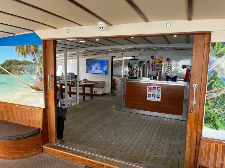 Puerto Rico : 2 hour Dolphin Catamaran Excursion - Practical advice for a better trip