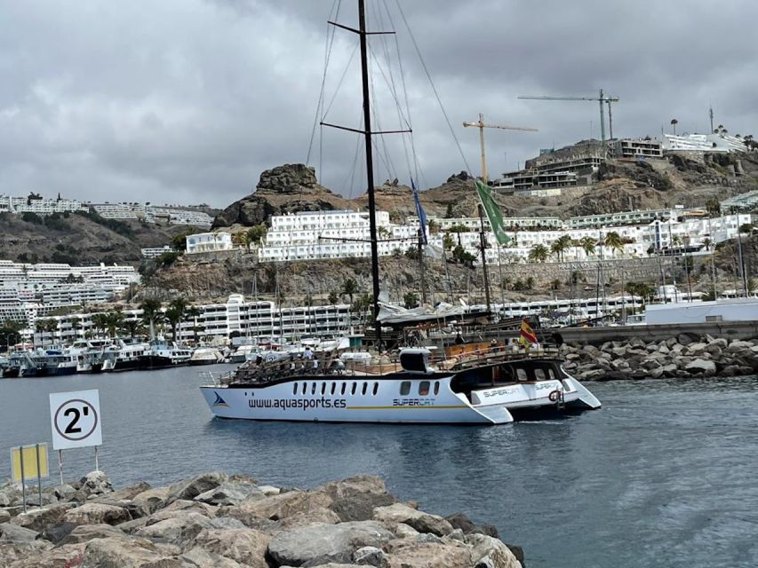 Puerto Rico : 2 hour Dolphin Catamaran Excursion - Booking, cancellation, and payment flexibility