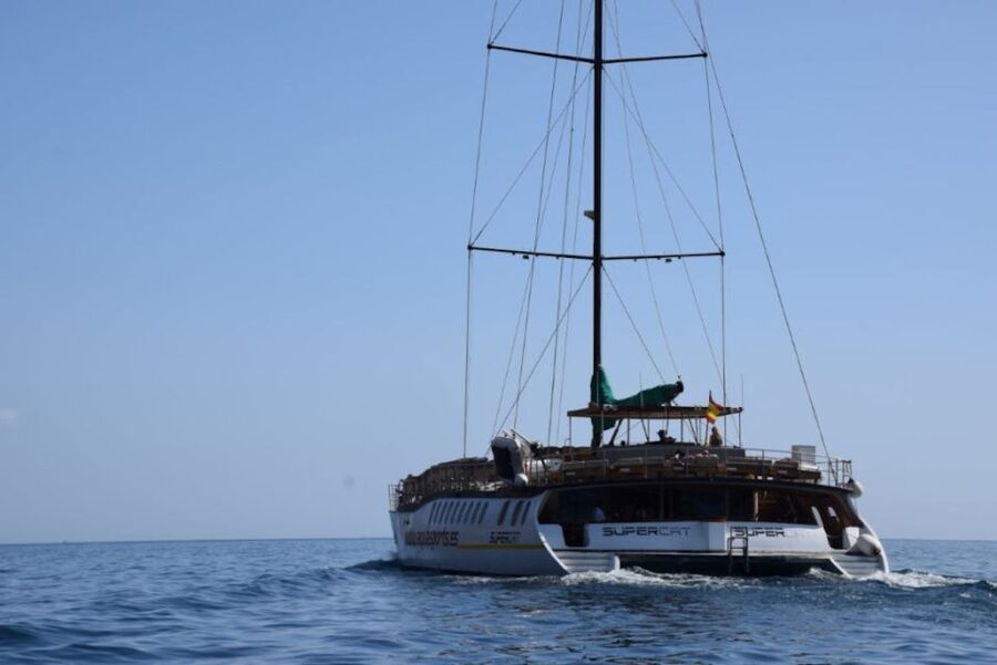 Puerto Rico : 2 hour Dolphin Catamaran Excursion - Two hours on a comfortable catamaran