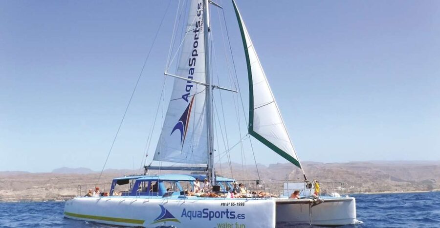 Puerto Rico: 4-Hour Catamaran Excursion in the South - Setting out from Puerto Rico Base