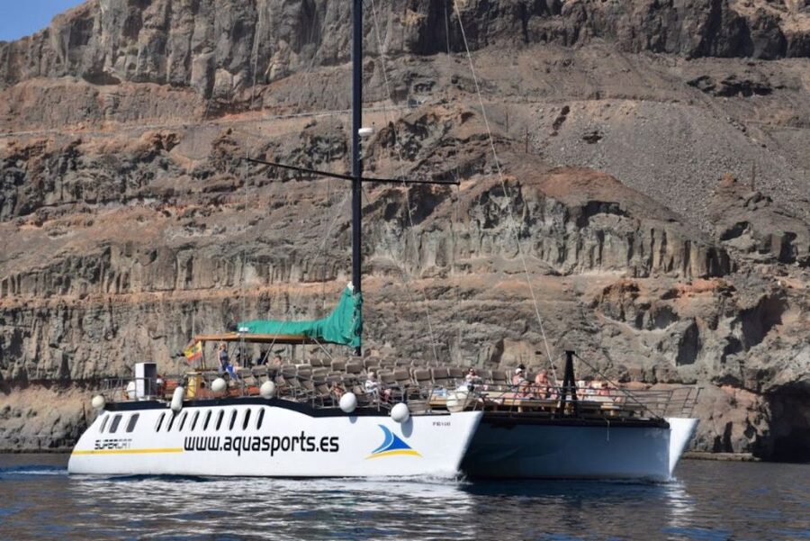 Puerto Rico de Gran Canaria: Premium Dolphin Catamaran Tour - Booking, Cancellations, and Small Practical Details