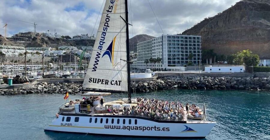 Puerto Rico de Gran Canaria: Premium Dolphin Catamaran Tour - Leaving Puerto Rico Base for the Southern Coast