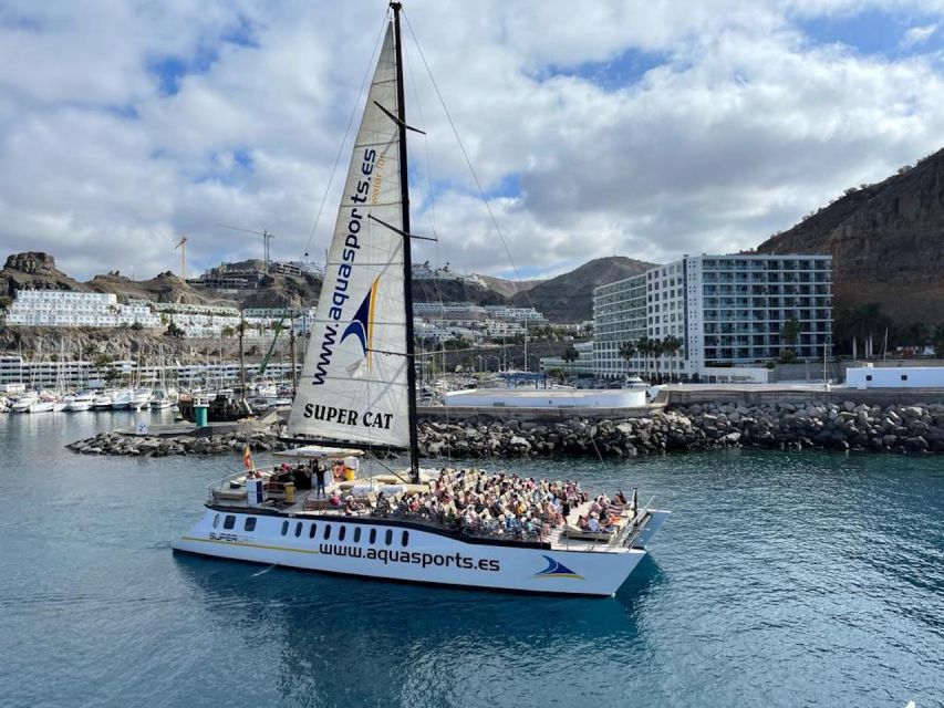 Puerto Rico de Gran Canaria: Premium Dolphin Catamaran Tour - Comfort, Seating, and the Feel of the Boat