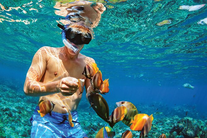 Punta Cana Catalina Island Catamaran Tour Package Deal - Leaving Punta Cana through the sugarcane country