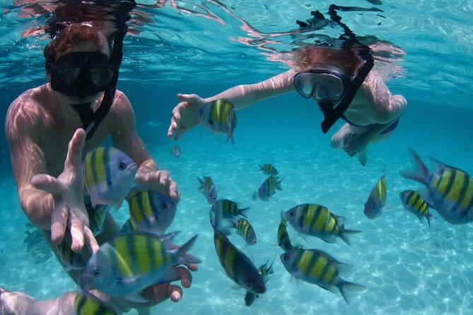 Punta Cana Catalina Island Catamaran Tour Package Deal - Why the $70 price can be good value