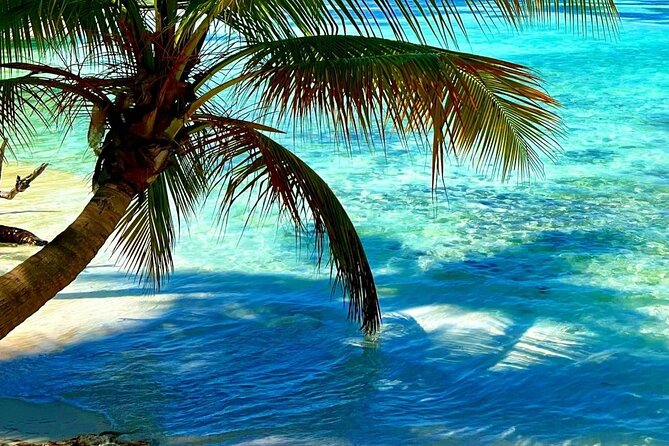 Punta Cana Catalina Island Catamaran Tour Package Deal - Practical details that affect your day