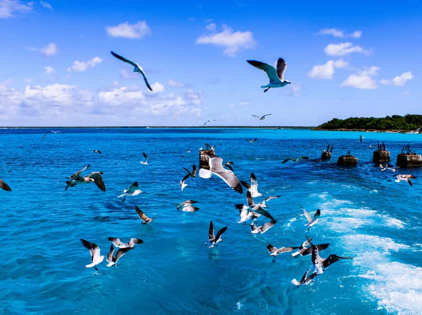 Punta Cana: Catamaran Boat to Saona Island with Buffet Lunch - What the $82 price really buys