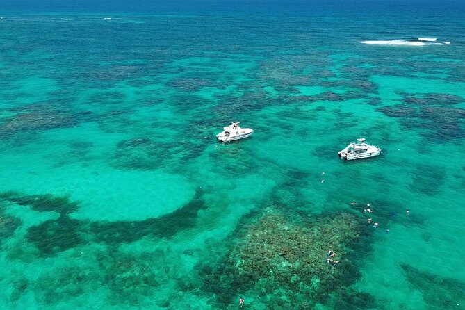 Punta Cana: Catamaran Tour, Reef Snorkeling and Unlimited Drinks! - Key points to know before booking