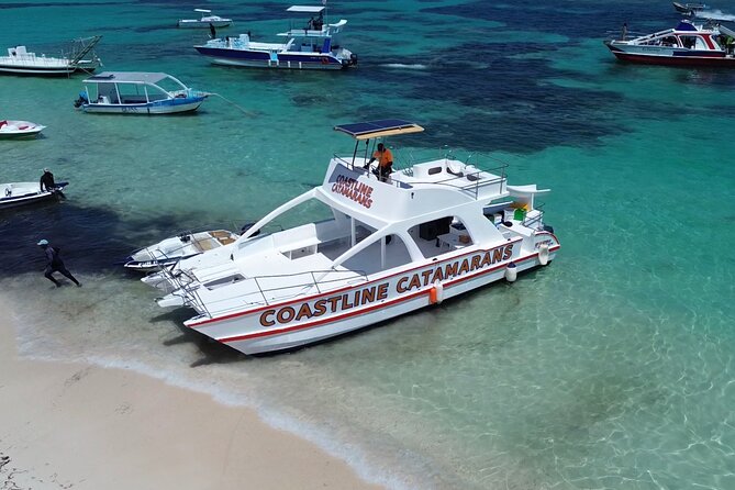 Punta Cana: Catamaran Tour, Reef Snorkeling and Unlimited Drinks! - The private beach stop and shallow natural pool