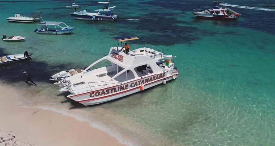 Punta Cana: Catamaran Tour with Reef Snorkeling and Open Bar - What this Punta Cana catamaran trip is really like