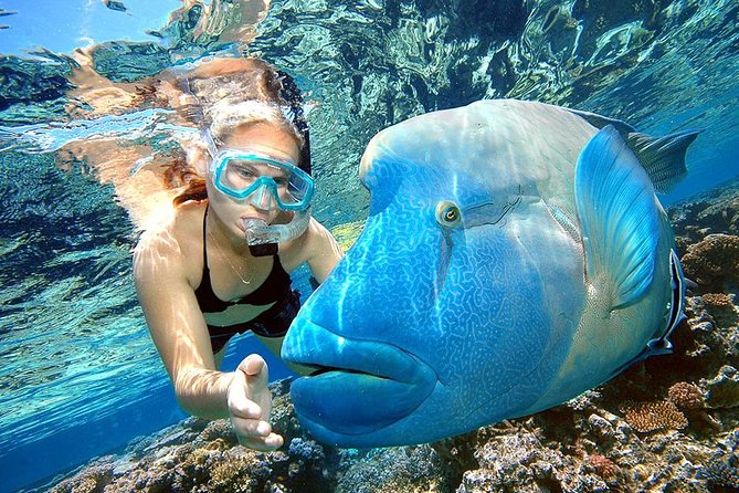 Punta Cana Combo Tour: Snorkeling, Catamaran Cruise & Parasailing - One afternoon, three water activities