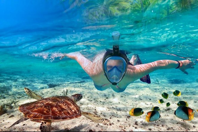 Punta Cana Combo Tour: Snorkeling, Catamaran Cruise & Parasailing - Who will enjoy this Punta Cana combo?