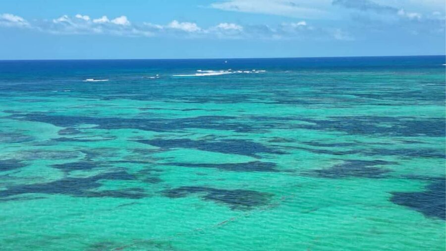 Punta Cana: Exclusive Private Catamaran Tour to Saona Island – VIP Service - Saona Island gives you the long, lazy middle of the day