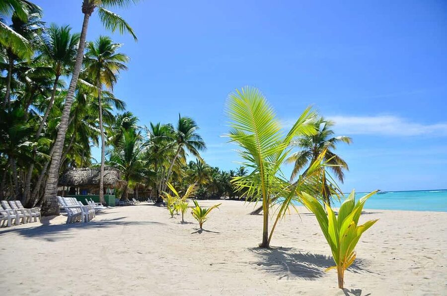 Punta cana: Island Escape to Saona • catamaran & Beach lunch - What happens at the natural pool