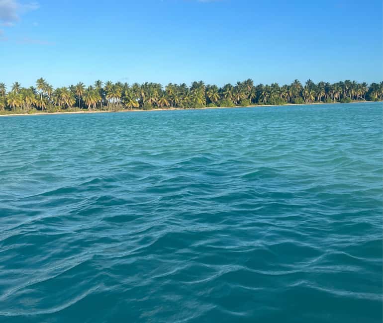 Punta cana: Island Escape to Saona • catamaran & Beach lunch - The guide can make a big difference