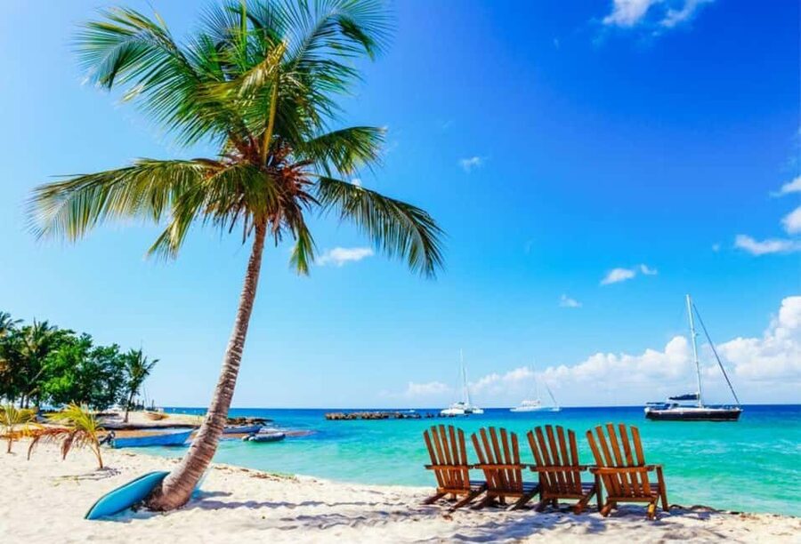 Punta Cana - Santo Domingo: Saona Island VIP Catamaran Tour - Saona Island Tour: Key Points