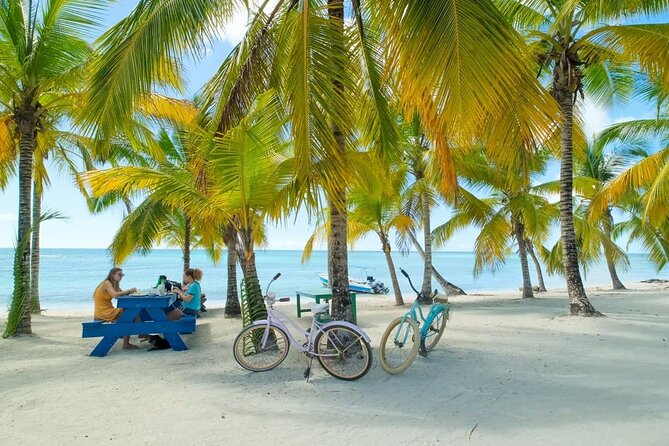 Punta Cana: Saona Island Catamaran Open Bar / Food Hotel Pickup - Key points to know before booking
