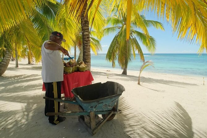 Punta Cana: Saona Island Catamaran Open Bar / Food Hotel Pickup - The afternoon return by catamaran
