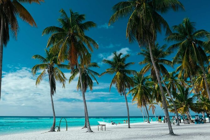 Punta Cana: Saona Island Catamaran Open Bar / Food Hotel Pickup - What the $65 price really covers