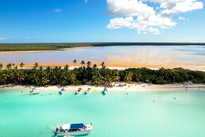Punta Cana: Saona Island Catamaran Open Bar / Food Hotel Pickup - The natural pool and its starfish