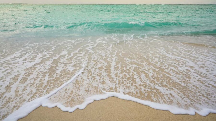 Punta Cana: Saona Island Catamaran Tour with Food & Open Bar - Thirty minutes at the Natural Swimming Pool