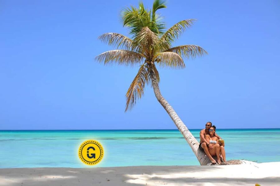 Punta Cana: Saona Island Day Tour and Catamaran Party - Why Saona Island makes this day trip special