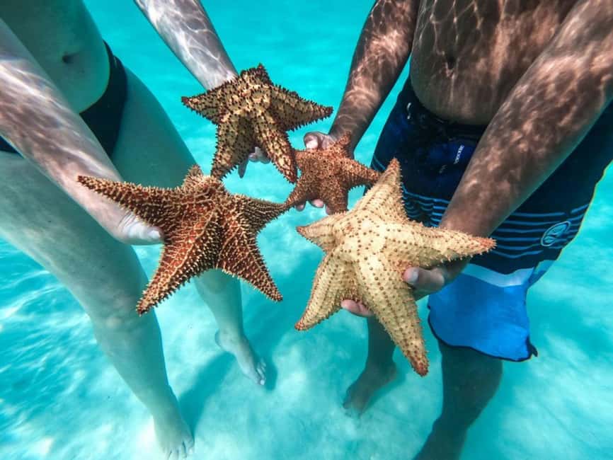 Punta Cana: Saona Island Day Tour and Catamaran Party - Time on Saona Island