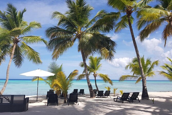 Punta Cana: Saona Island Food And Drink Catamaran Hotel Pickup - Why Saona Island makes a good day trip from Punta Cana