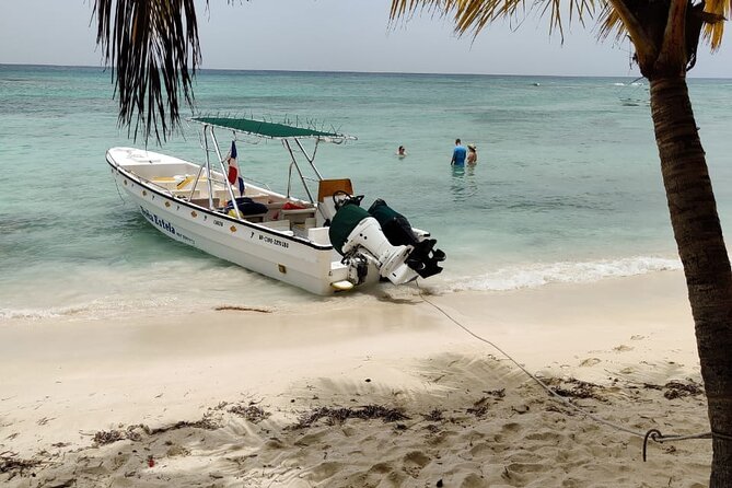 Punta Cana: Saona Island Food And Drink Catamaran Hotel Pickup - Wildlife, mangroves, and snorkeling