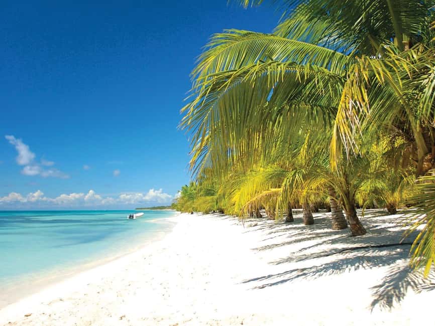 Punta Cana: Saona Island Speedboat and Catamaran Tour - The speedboat ride to Saona Island